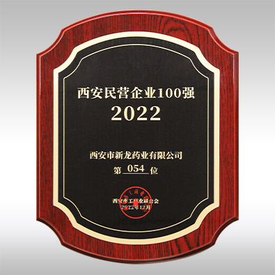 2022年西安民营企业100强